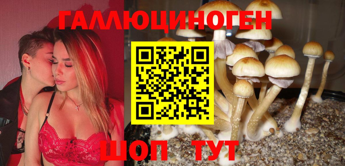Галлюциногенные грибы MAGIC MUSHROOMS  Вход с VPN  Ростов-на-Дону 
