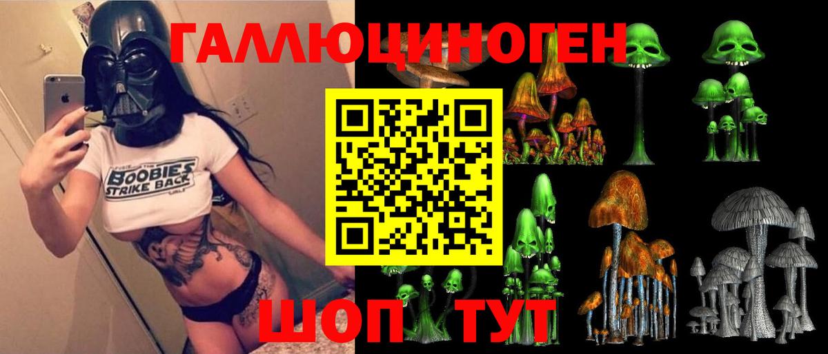 где найти   Ростов-на-Дону  Галлюциногенные грибы прущие грибы 